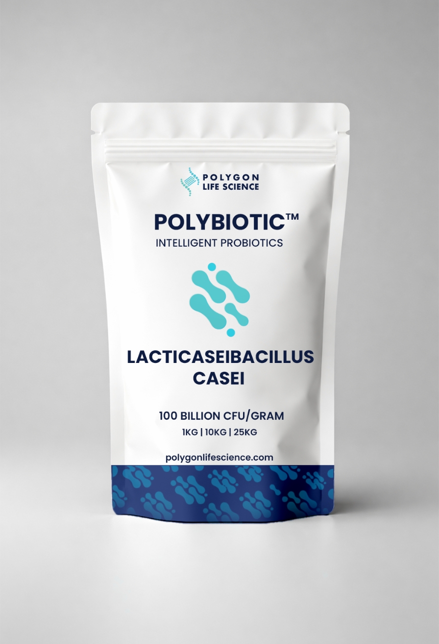 Lacticaseibacillus casei