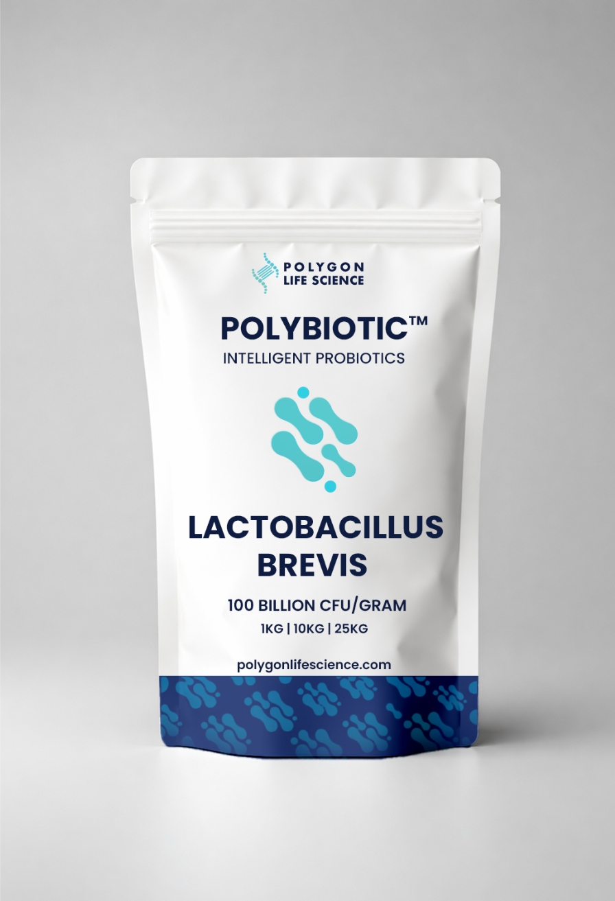Lactobacillus brevis