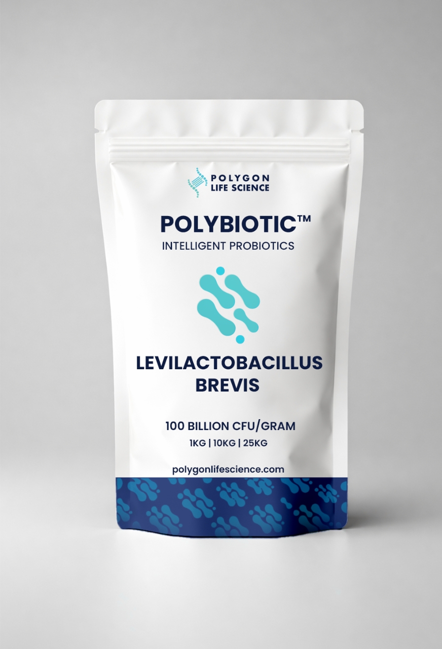 Levilactobacillus brevis