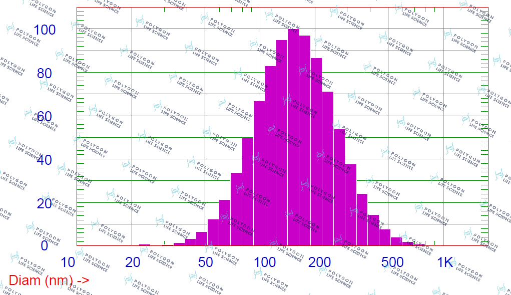 EXOCODE™ REVERSE - Onion exosomes supplier, exosome supplier, onion exosomes